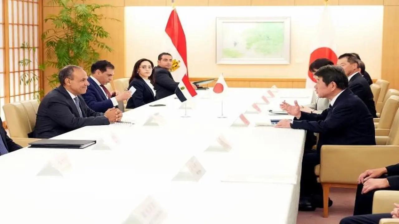 مصر واليابان تعززان التعاون من خلال لجان مشتركة جديدة